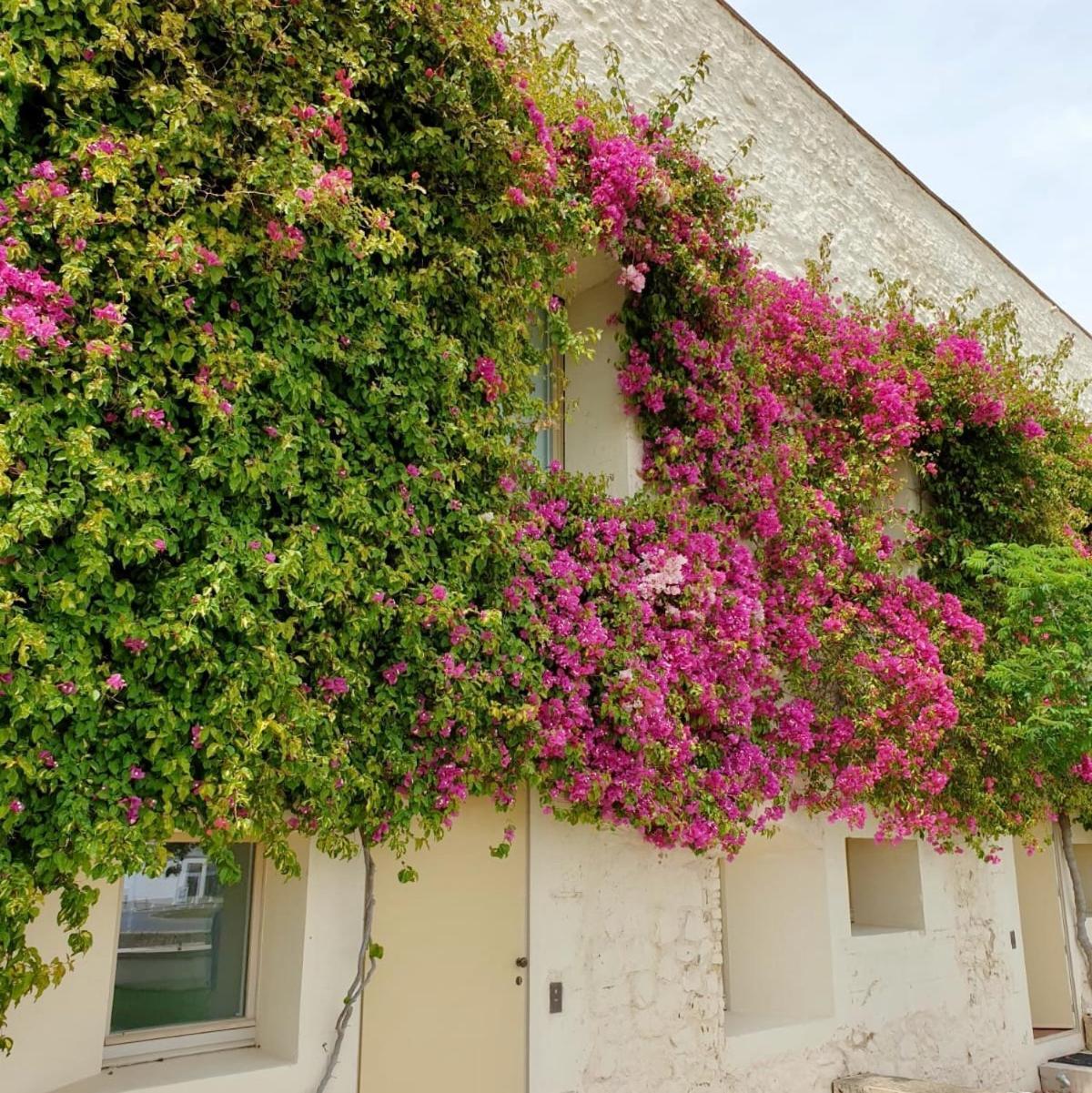 Apartamento Convento Das Bernadas Tavira Exteriér fotografie