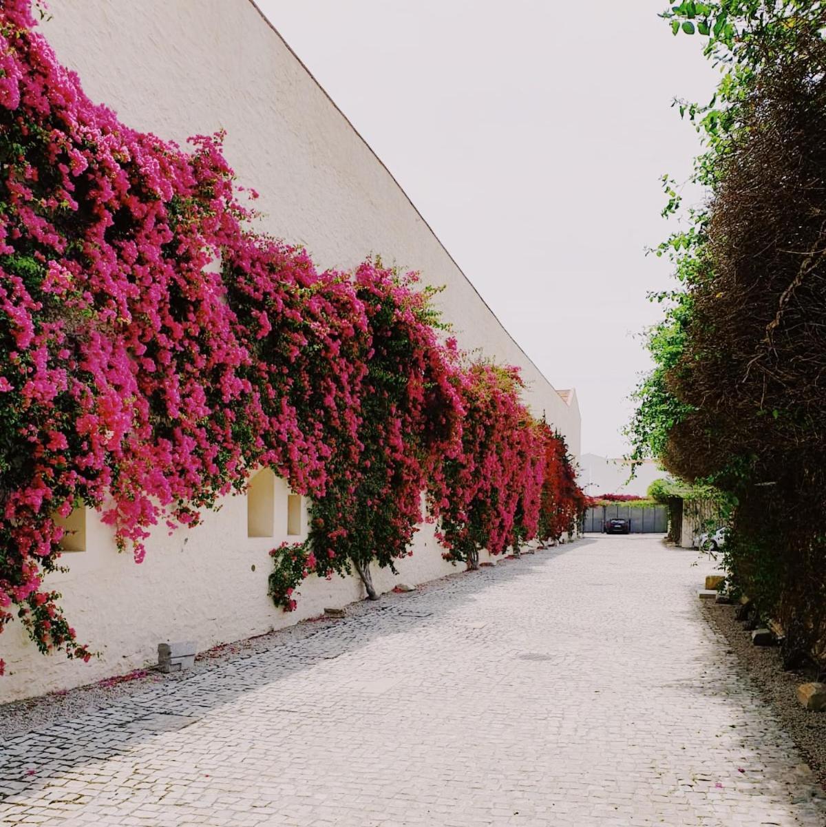 Apartamento Convento Das Bernadas Tavira Exteriér fotografie